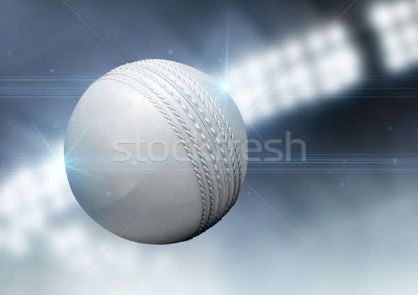 мяча Flying воздуха регулярный белый крикет Сток-фото © albund