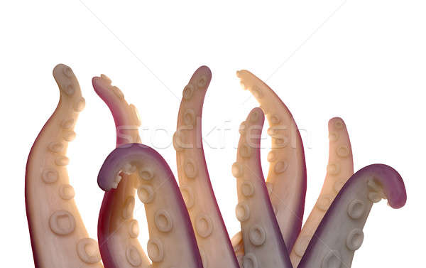 Monster Tentacles isolated Stock photo © albund