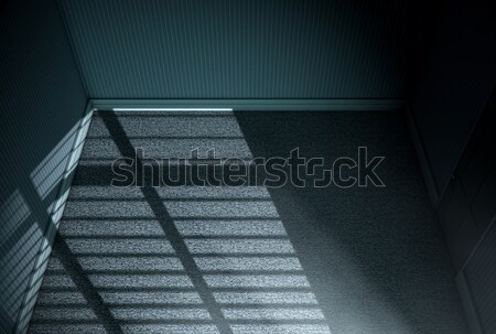 Moonlight Into Empty Room Stock photo © albund