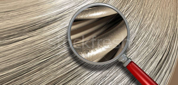 Szőke haj fúj nagyítás közelkép kilátás köteg Stock fotó © albund