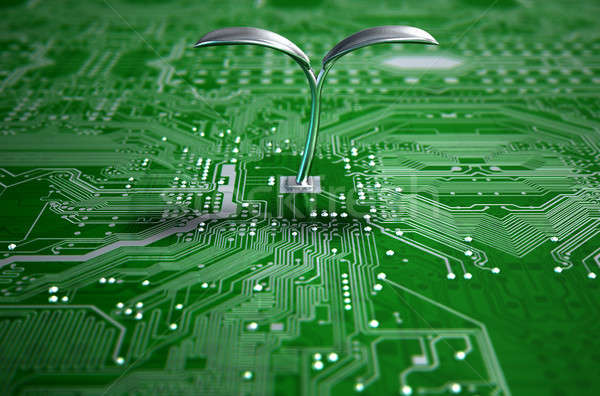 Macro circuite futuristic plantă 3d face vedere Imagine de stoc © albund