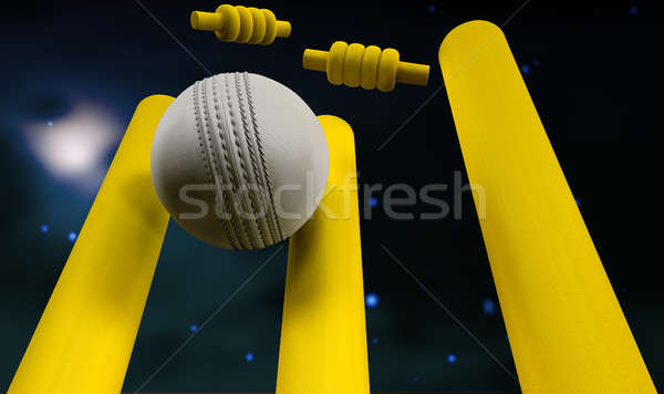 Kriket top gece beyaz deri sarı Stok fotoğraf © albund