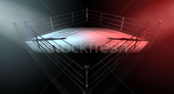Boxing Ring Opposing Corners Stock photo © albund