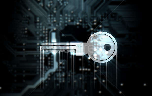 Circuit Board Projecting Key Stock photo © albund