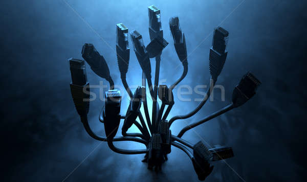 Ethernet streszczenie sylwetki bukiet kolekcja wraz Zdjęcia stock © albund