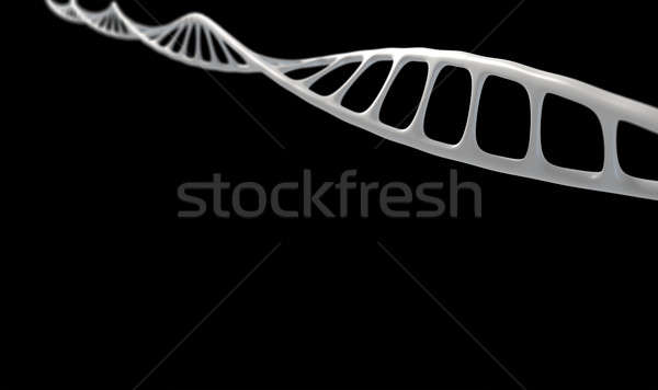 Stock fotó: DNS · mikro · mikroszkopikus · kilátás · stílus · általános
