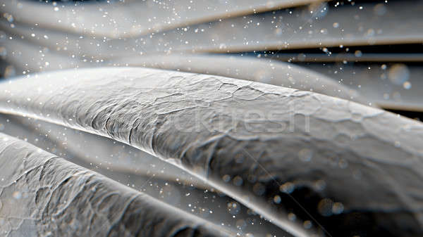 Foto stock: Microscópico · pelo · macro · primer · plano · vista