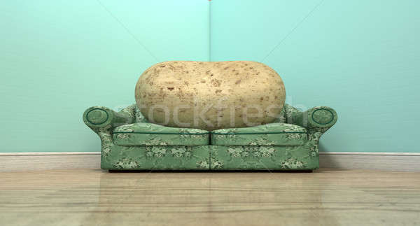 Couch Potato On Old Sofa Stock photo © albund
