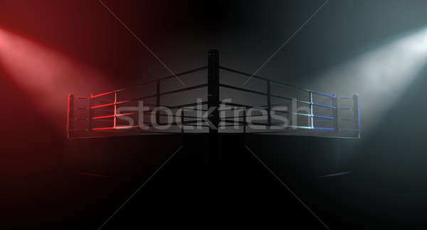 Boxing Ring Opposing Corners Stock photo © albund