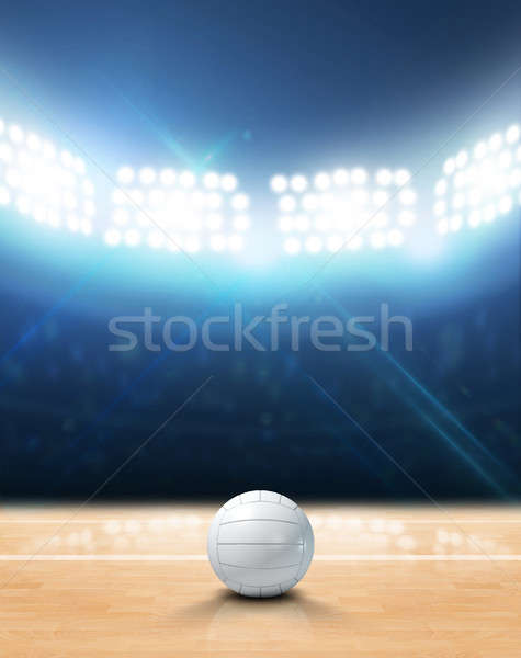 Indoor Floodlit Volleyball Court Stock photo © albund