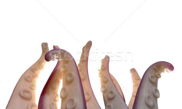 Monster Tentacles isolated Stock photo © albund