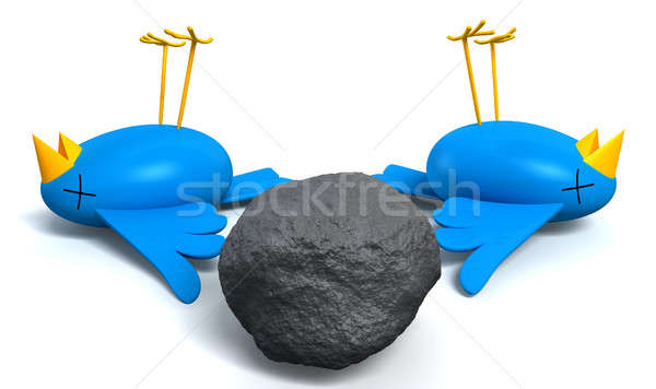 Matar dos aves uno piedra Cartoon Foto stock © albund