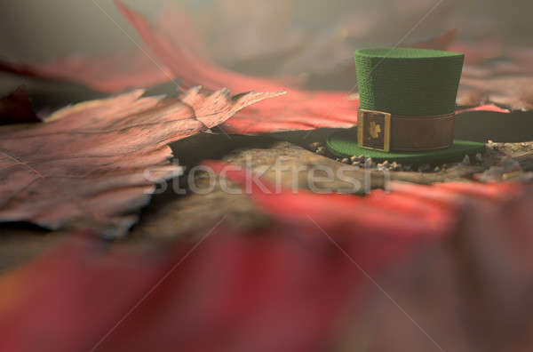 Stracił malutki hat obraz Zdjęcia stock © albund