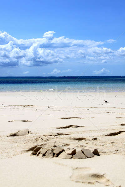 Zanzibar White Sandy Beach And Blue Ocean Stock photo © albund