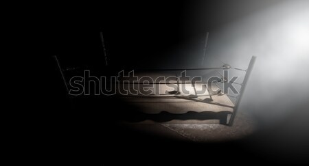 Vintage Boxing Ring Spotlit Corner Stock photo © albund