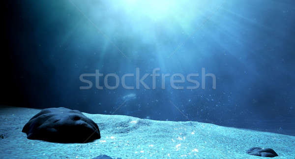 Underwater Sea Floor Stock photo © albund