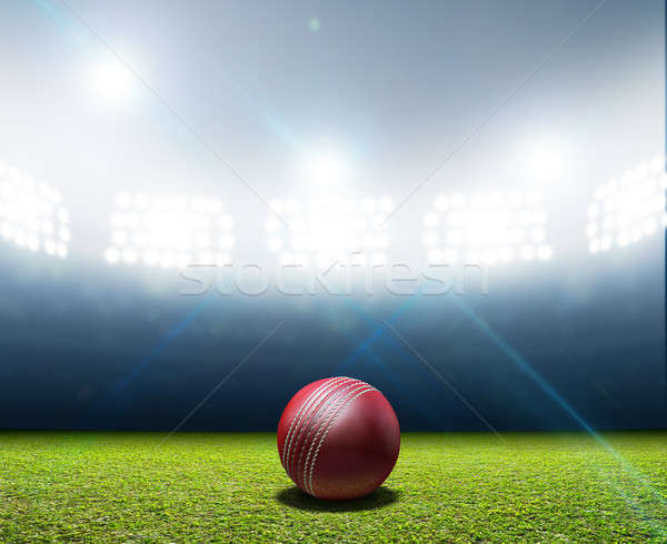 Cricket Stadium And Ball Stock photo © albund