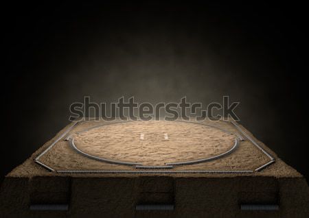 Sumo Ring Empty Stock photo © albund