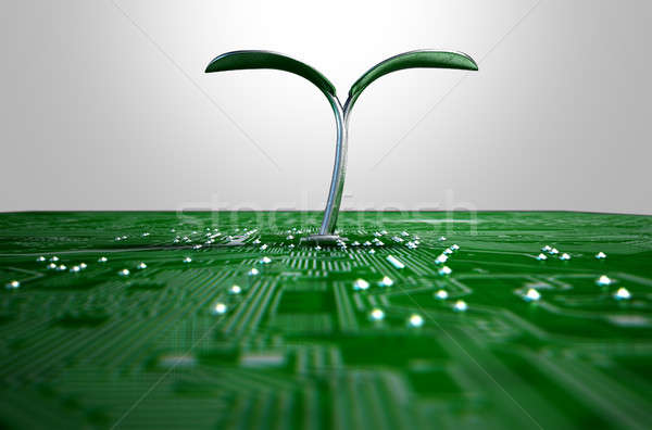 Macro placa de circuito futurista planta 3d render ver Foto stock © albund