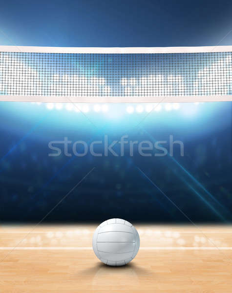 Voleybol mahkeme 3D net Stok fotoğraf © albund