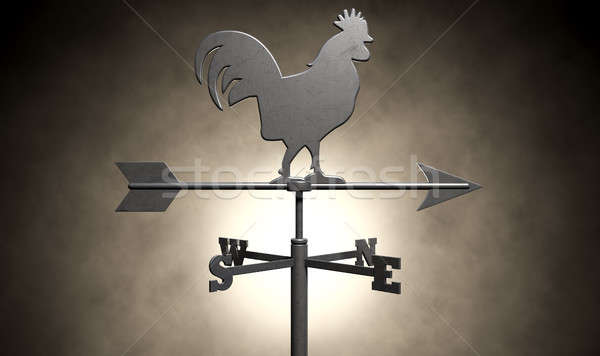 A regular metal weathervane with a cockeral motif facing north east with other directions depicted o Stock photo © albund