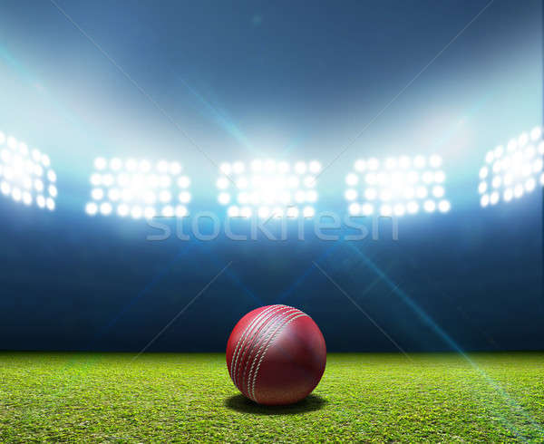 Cricket Stadium And Ball Stock photo © albund