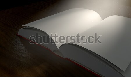 Boek Open spotlight regelmatig dekken midden Stockfoto © albund