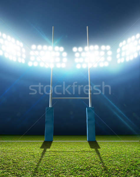 Rugby stadion zielona trawa noc Zdjęcia stock © albund