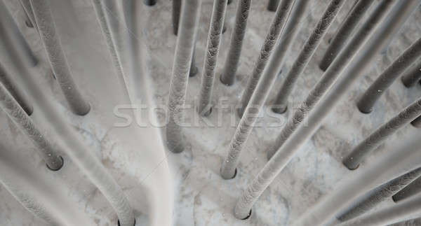 Mikroskobik saç görmek cilt Stok fotoğraf © albund
