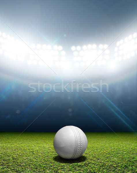 Cricket Stadium And Ball Stock photo © albund