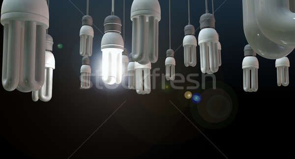 Suspendu ampoule image ampoules [[stock_photo]] © albund