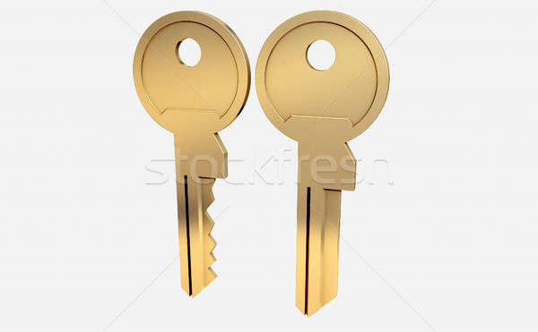 Key Blank And Cut View Stock photo © albund