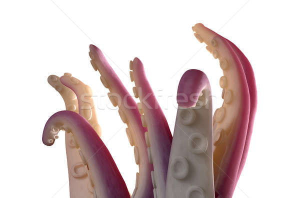 Monster Tentacles isolated Stock photo © albund