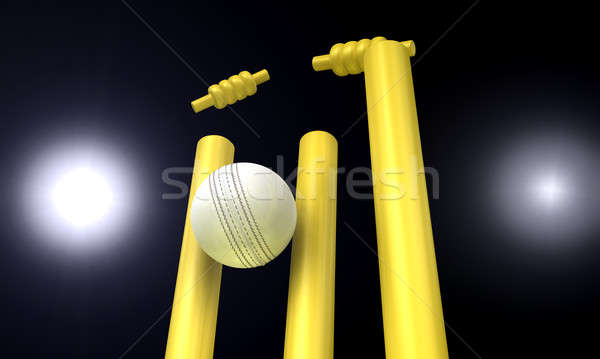 Cricket Ball Hitting Wickets At Night Stock photo © albund