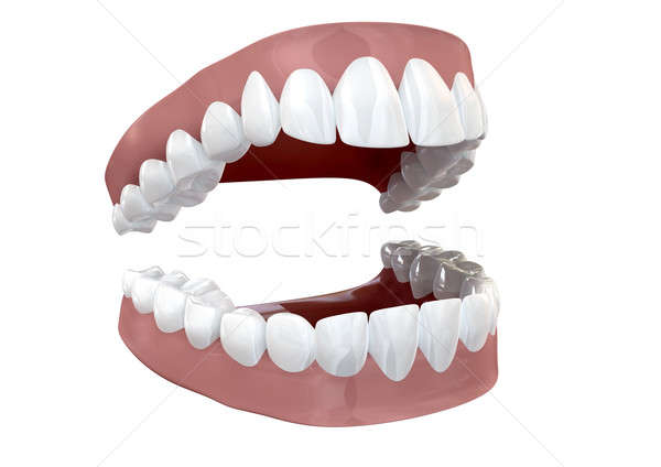 Teeth Set Open Isolated Stock photo © albund