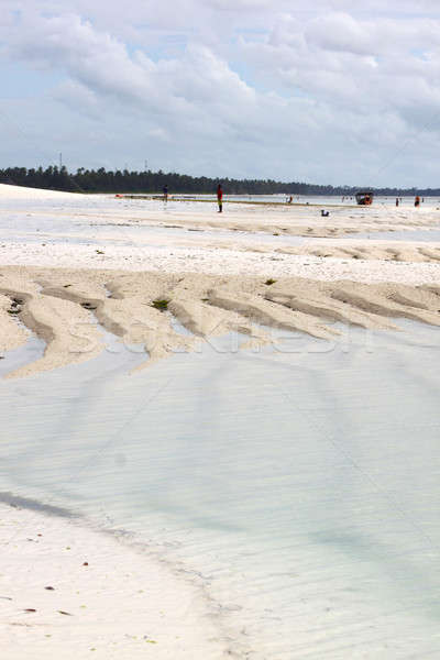 Zanzibar White Sandy Beach And Blue Ocean Stock photo © albund