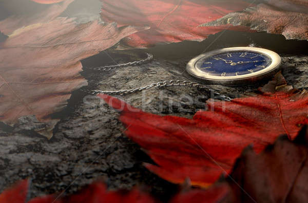 Lost Pocket Watch On Chain Stock photo © albund