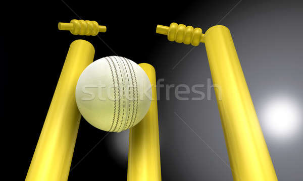 Cricket Ball Hitting Wickets At Night Stock photo © albund