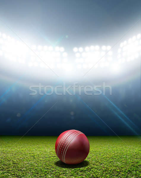 Cricket Stadium And Ball Stock photo © albund