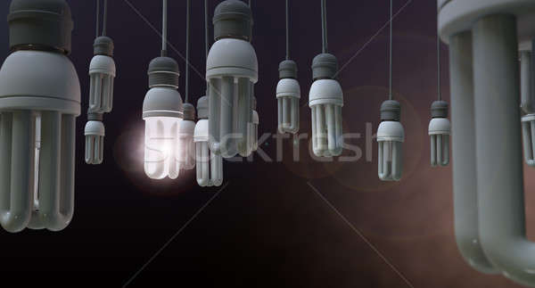 Suspendu ampoule image ampoules [[stock_photo]] © albund