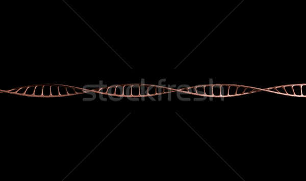 DNS mikro mikroszkopikus kilátás stílus technológia Stock fotó © albund