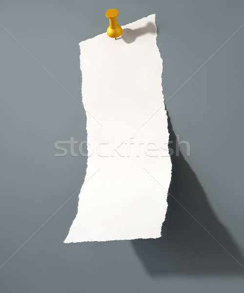 紙 白 引き裂か 孤立した ストックフォト © albund