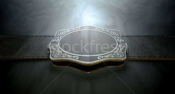 Belt Buckle And Leather Stock photo © albund