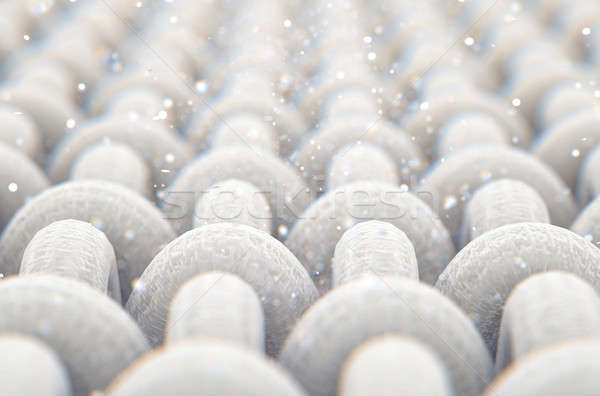 Mikro tkaniny mikroskopijny widoku proste Zdjęcia stock © albund