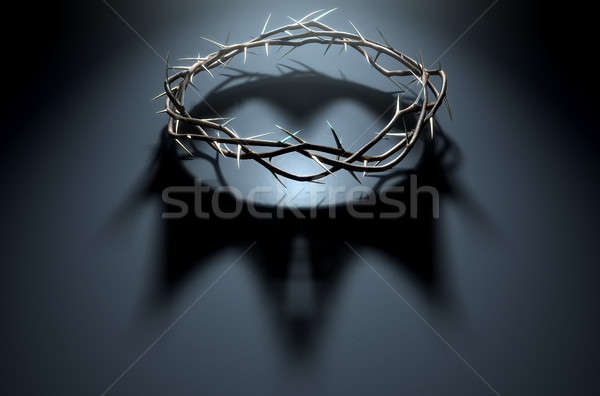 Crown Of Thorns With Royal Shadow Stock photo © albund