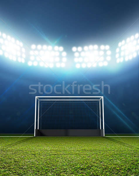 Sports Stadium And Hockey Goals Stock photo © albund