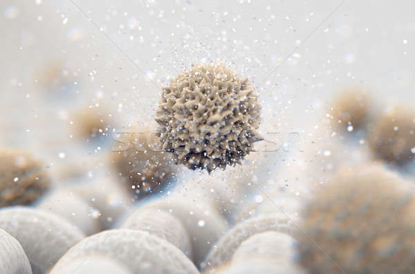 Micro weefsel microscopisch eenvoudige Stockfoto © albund