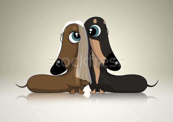 Dachsund Bridal Couple Stock photo © albund