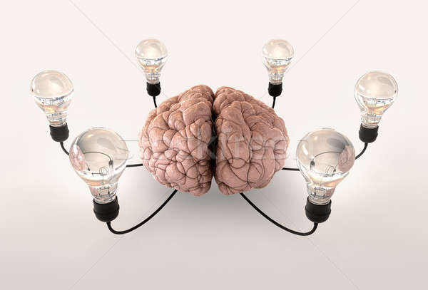 Brain And Lightbulb Imagination Stock photo © albund