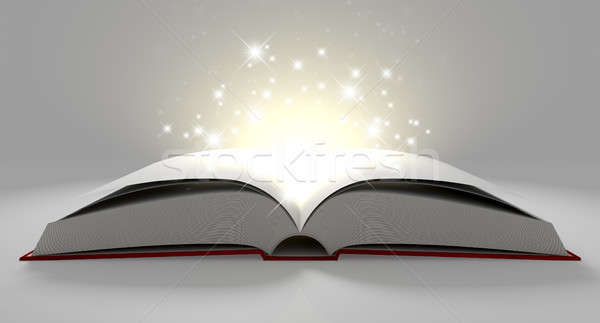 Magiczny książki okładka otwarte środkowy Zdjęcia stock © albund
